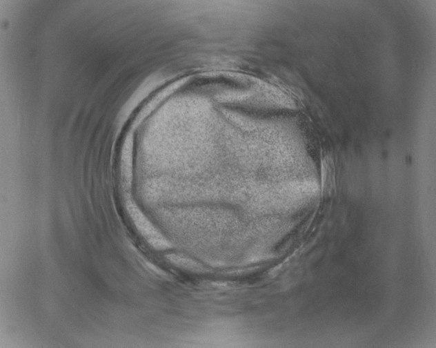 X0000066100195200604071831