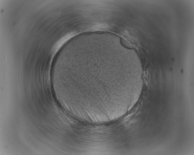 X0000066100196200604071831