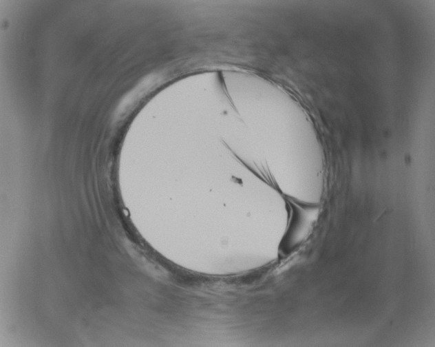 X0000066100197200604071831