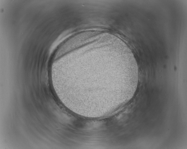 X0000066100198200604071831