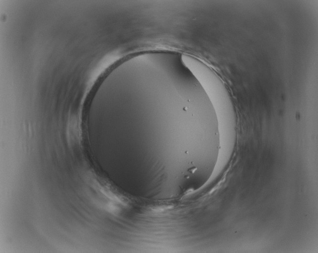 X0000066100200200604071831