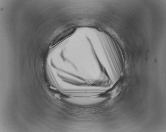 X0000066100201200604071831