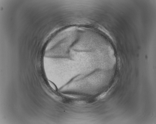 X0000066100203200604071830