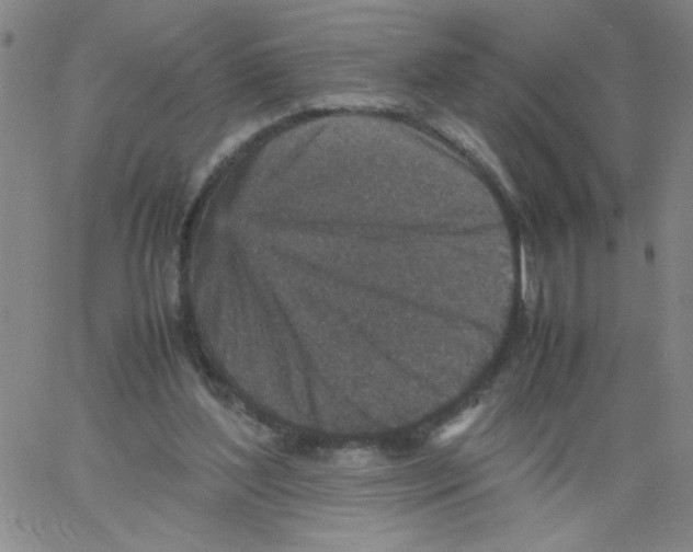 X0000066100204200604071830