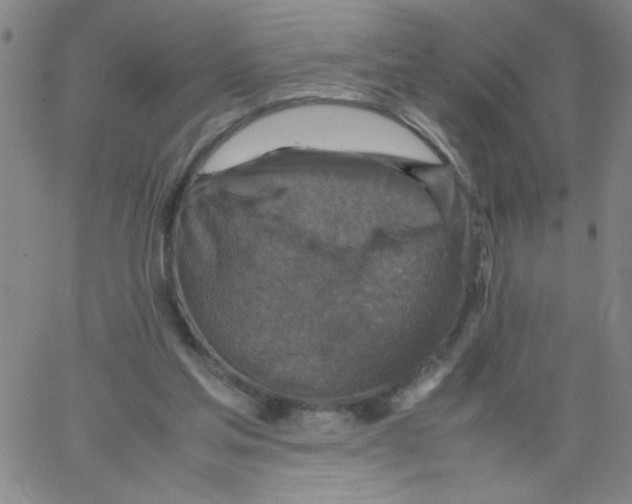 X0000066100205200604071830