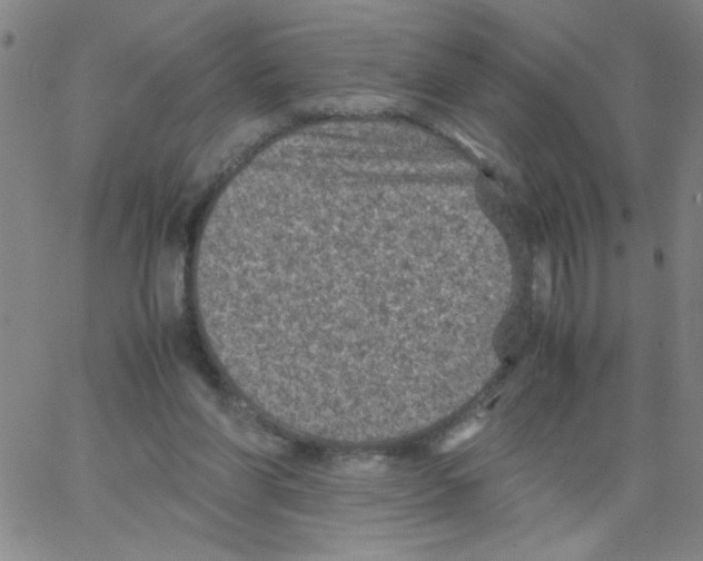 X0000066100206200604071830