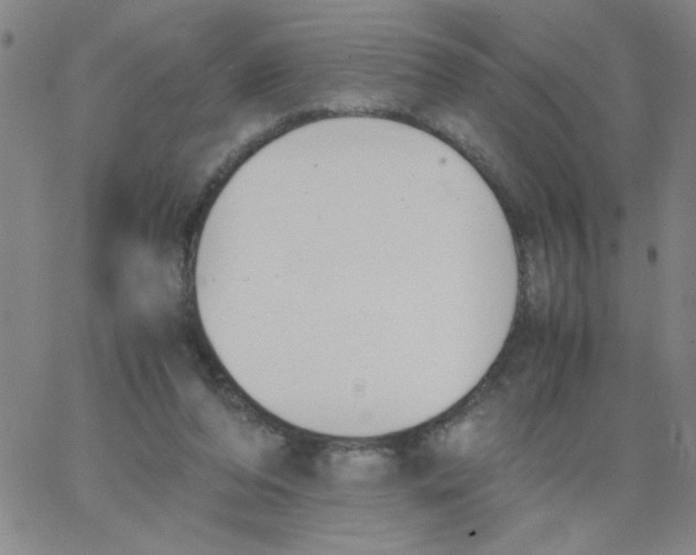 X0000066100208200604071830