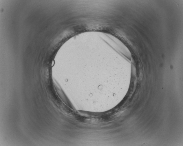 X0000066100211200604071830