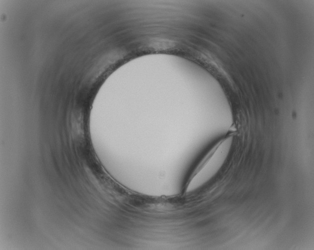 X0000066100212200604071830