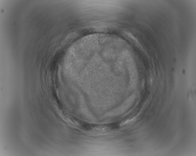 X0000066100213200604071830