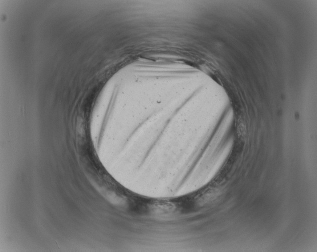 X0000066100215200604071830