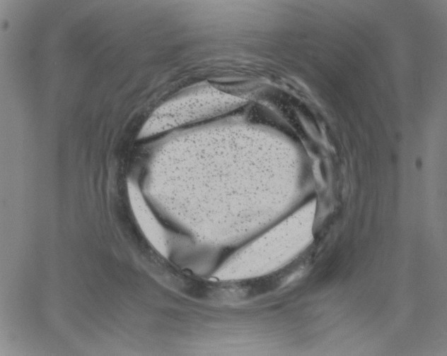 X0000066100217200604071830