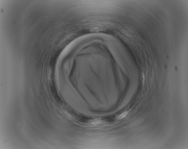 X0000066100219200604071830