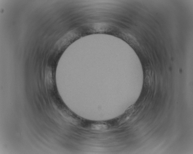 X0000066100220200604071830