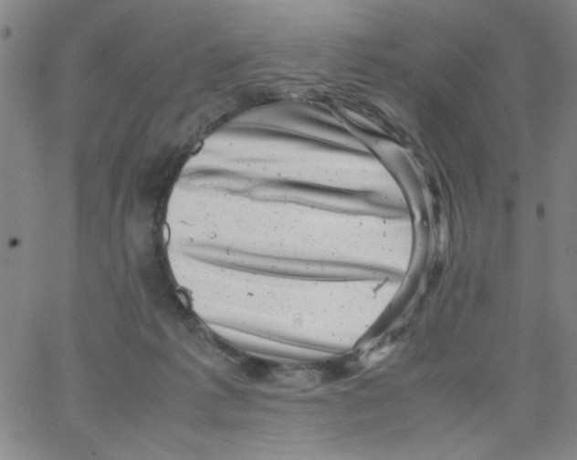 X0000066100221200604071830