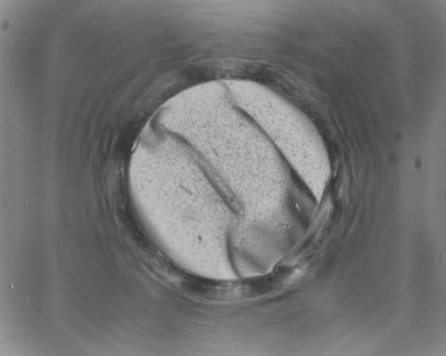 X0000066100225200604071830