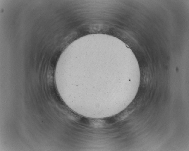 X0000066100226200604071830