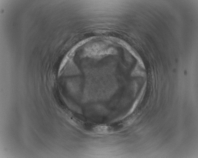 X0000066100227200604071830