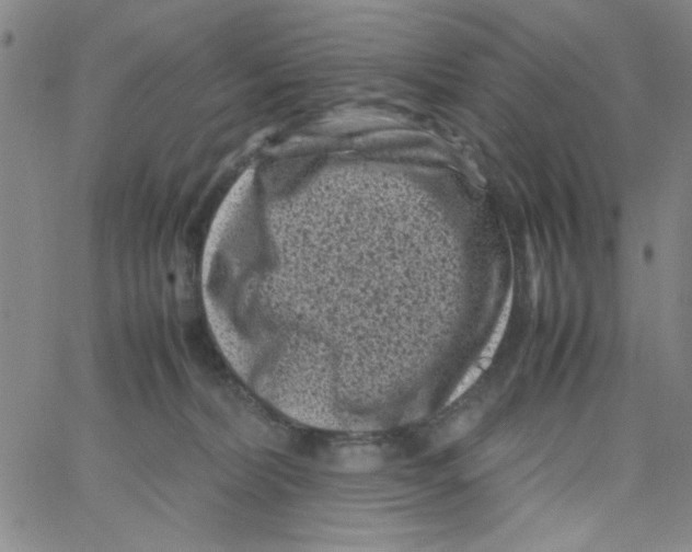 X0000066100228200604071830