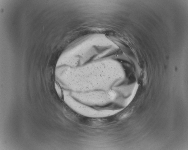 X0000066100229200604071830