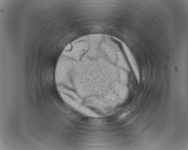 X0000066100230200604071830