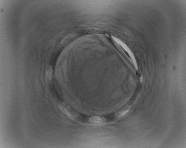 X0000066100231200604071830