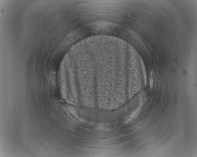 X0000066100232200604071830