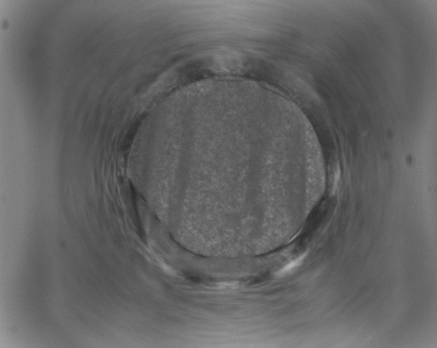 X0000066100233200604071830