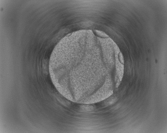 X0000066100234200604071830