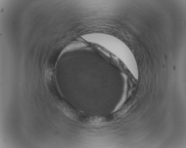 X0000066100235200604071830