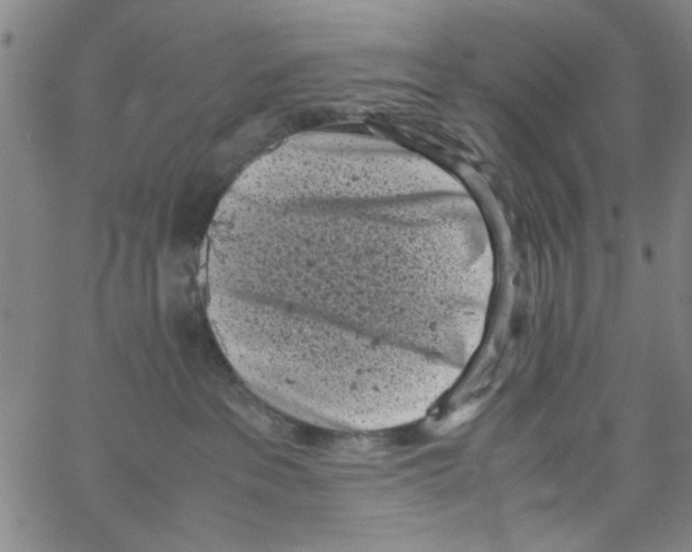 X0000066100237200604071830