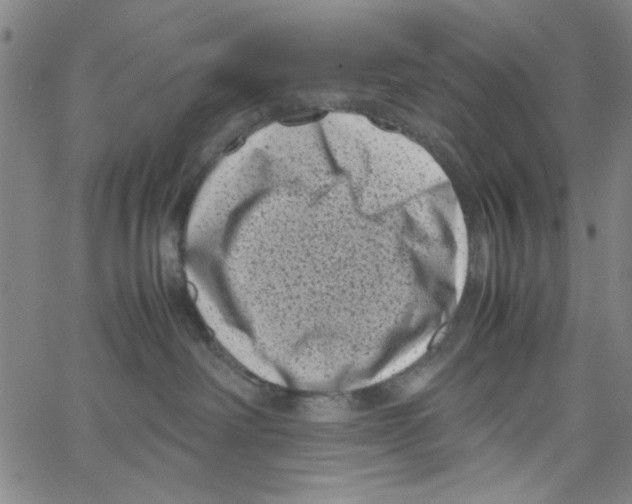 X0000066100238200604071830