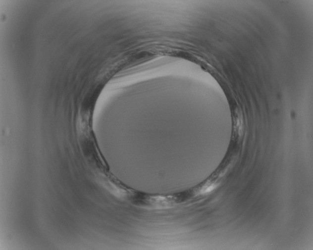 X0000066100239200604071830