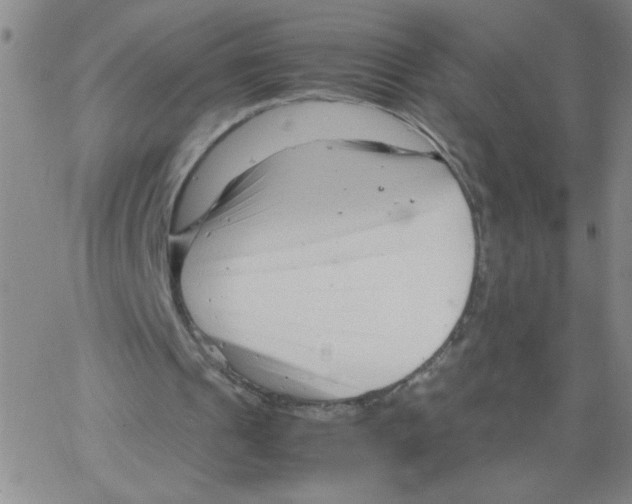 X0000066100241200604071829