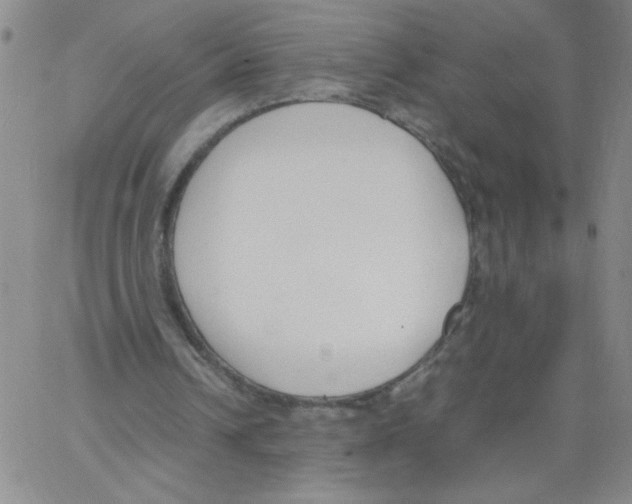 X0000066100242200604071829