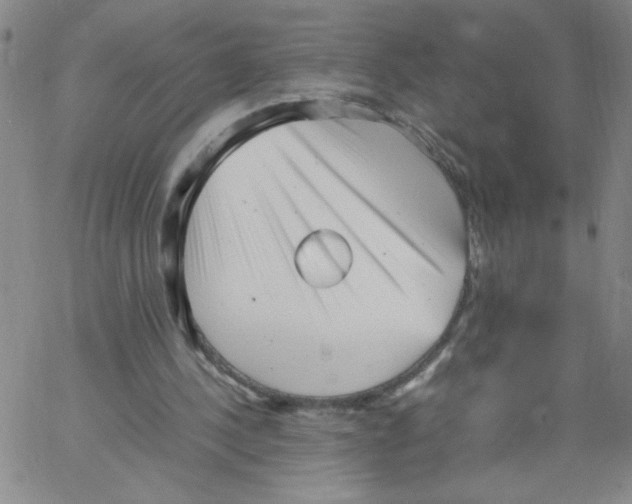 X0000066100244200604071829