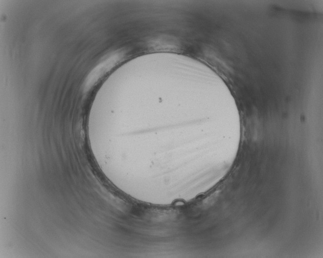 X0000066100245200604071829