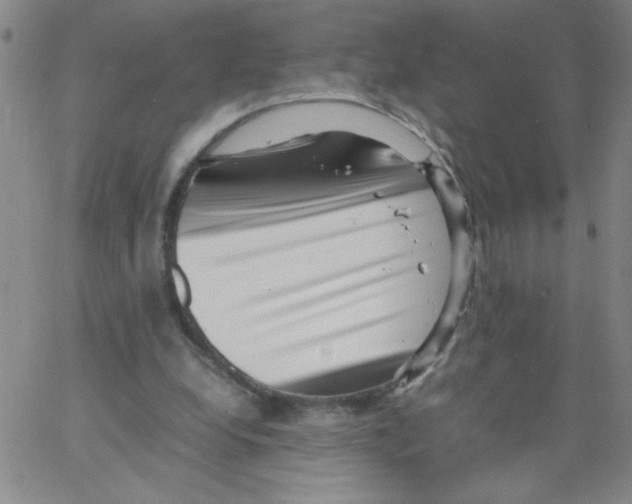 X0000066100248200604071829