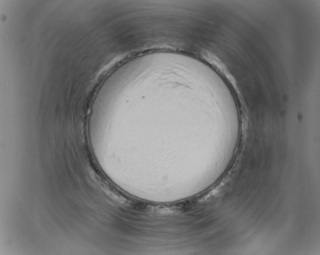 X0000066100249200604071829