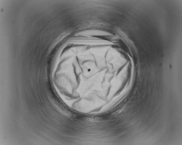 X0000066100250200604071829