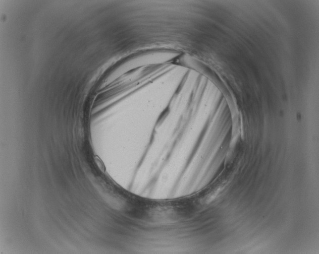 X0000066100252200604071829