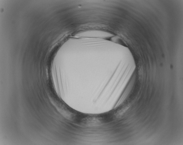 X0000066100254200604071829