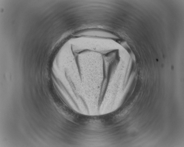 X0000066100256200604071829