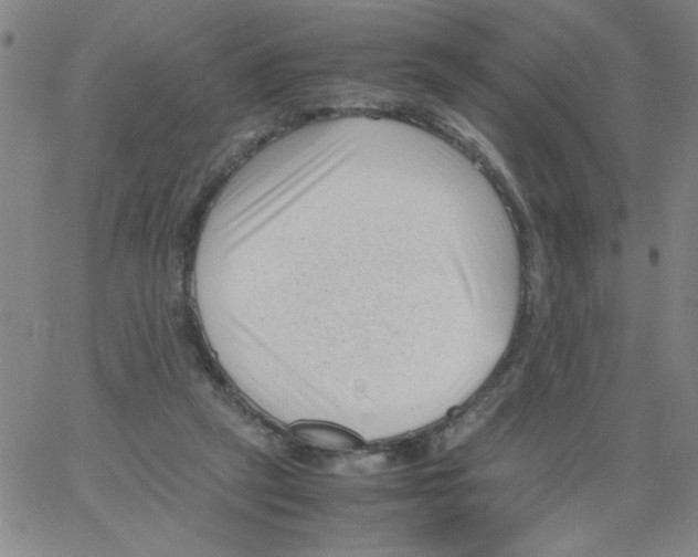 X0000066100257200604071829