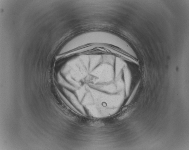 X0000066100258200604071829