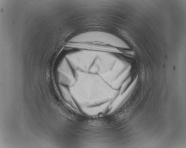 X0000066100259200604071829