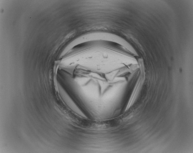 X0000066100260200604071829