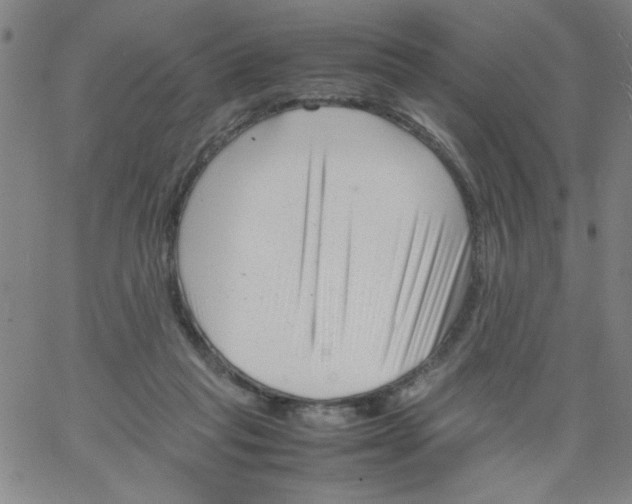 X0000066100261200604071829