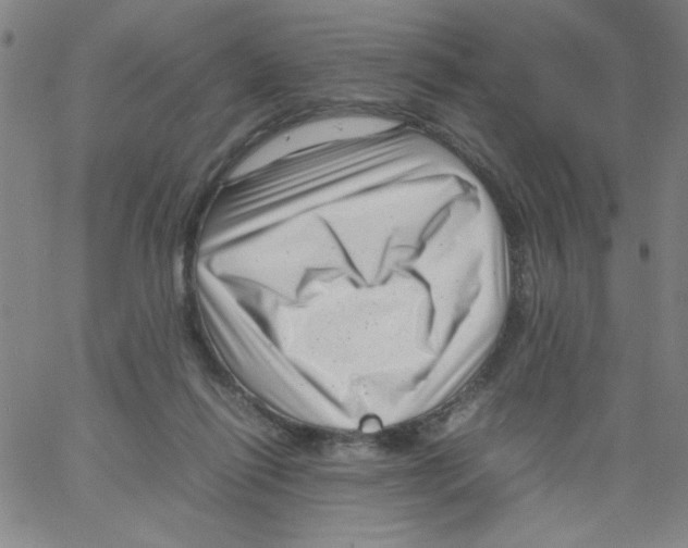 X0000066100262200604071829