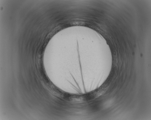 X0000066100263200604071829